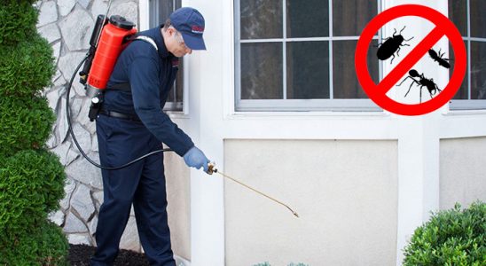 Çeşmealtı Kemirgen İlaçlama böcek ilaçlama ve haşere kontrolü — ilaclama-tr.com